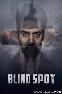 Blind Spot (2025) Telugu Movie