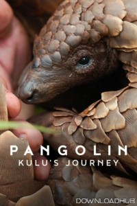 Pangolin Kulus Journey (2025) ORG Hindi Dubbed Movie